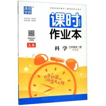 通城学典课时作业本科学九年级全册华师版