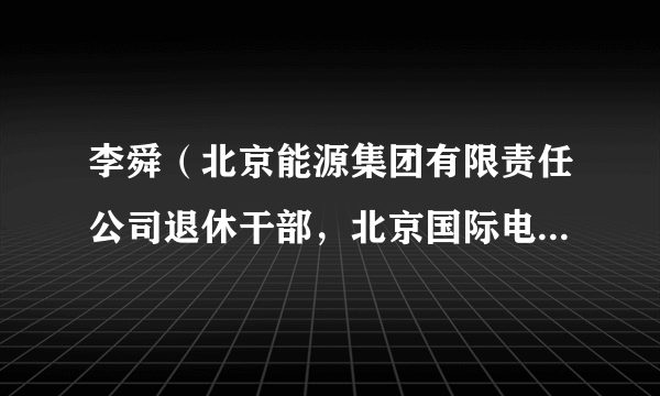 李舜（北京能源集团有限责任公司退休干部，北京国际电力开发投资公司原党组书记、董事长）