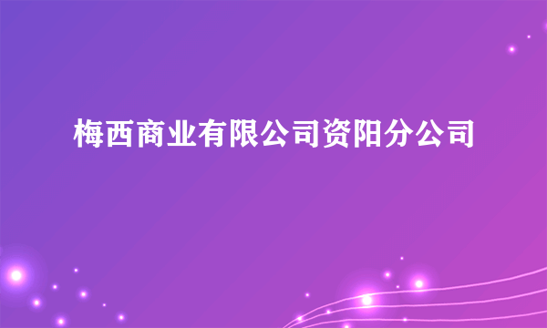 梅西商业有限公司资阳分公司