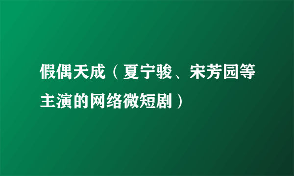 假偶天成（夏宁骏、宋芳园等主演的网络微短剧）