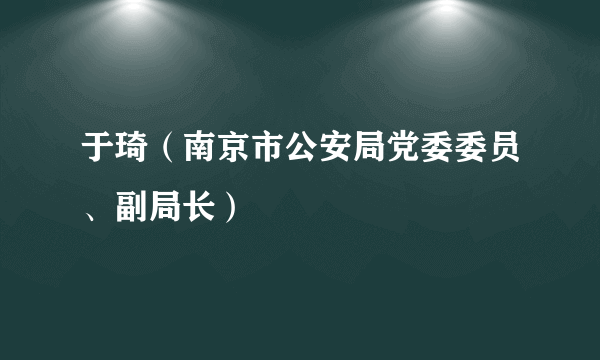 于琦（南京市公安局党委委员、副局长）