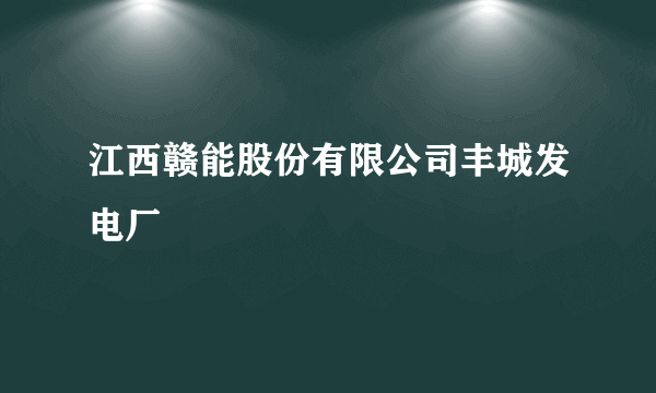 江西赣能股份有限公司丰城发电厂