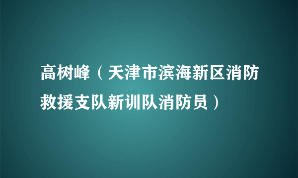 高树峰（天津市滨海新区消防救援支队新训队消防员）