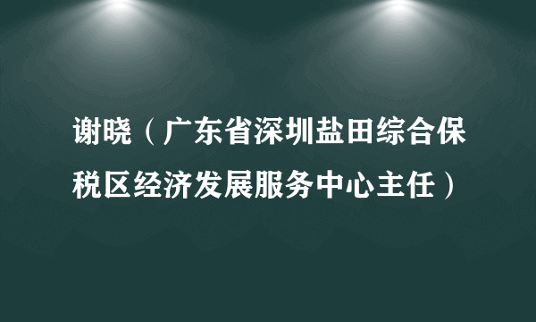 谢晓（广东省深圳盐田综合保税区经济发展服务中心主任）