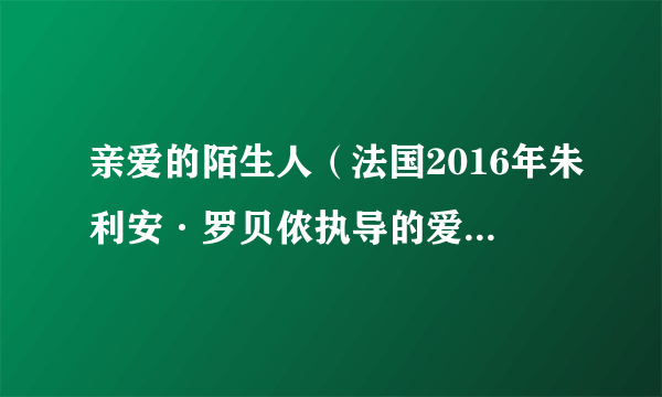 亲爱的陌生人（法国2016年朱利安·罗贝侬执导的爱情电影）