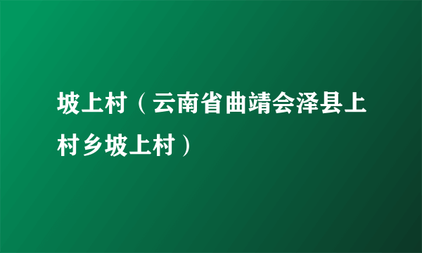 坡上村（云南省曲靖会泽县上村乡坡上村）