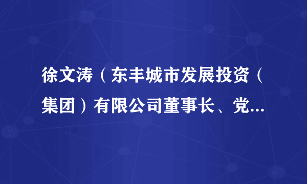 徐文涛（东丰城市发展投资（集团）有限公司董事长、党委书记、总经理）