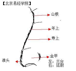 鼻相