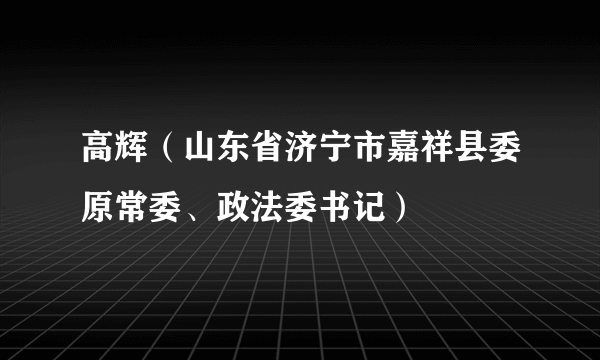 高辉（山东省济宁市嘉祥县委原常委、政法委书记）