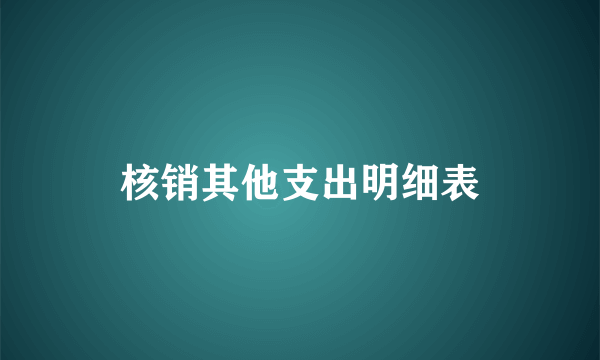 核销其他支出明细表