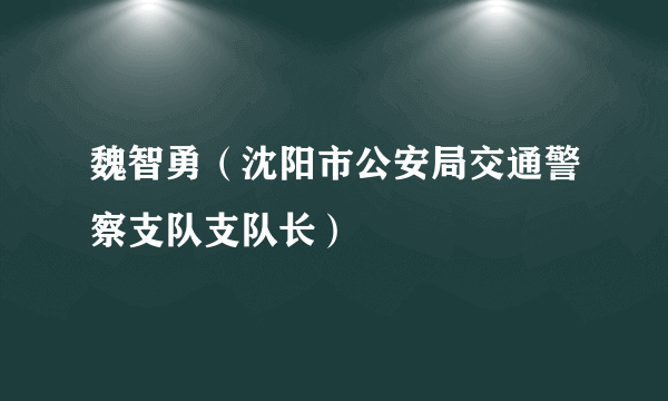 魏智勇（沈阳市公安局交通警察支队支队长）