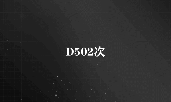 D502次