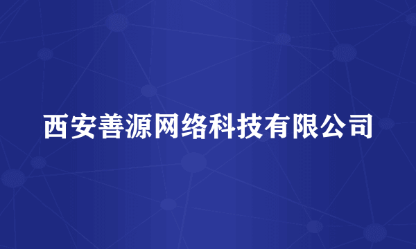 西安善源网络科技有限公司