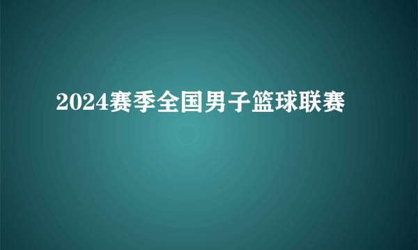 2024赛季全国男子篮球联赛