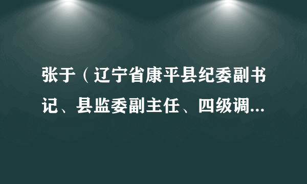 张于（辽宁省康平县纪委副书记、县监委副主任、四级调研员、四级高级监察官）