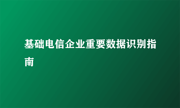 基础电信企业重要数据识别指南