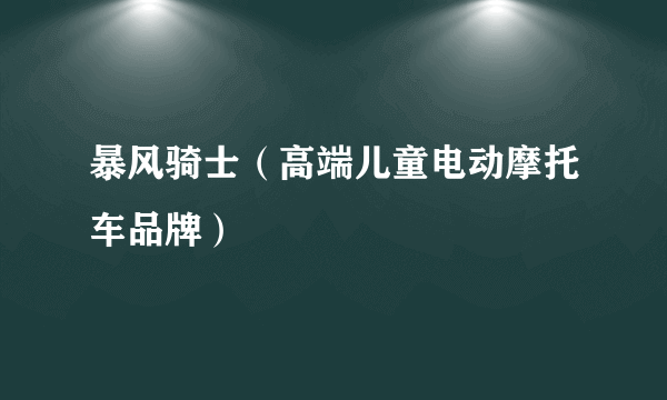 暴风骑士（高端儿童电动摩托车品牌）