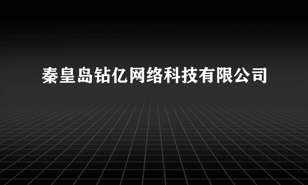 秦皇岛钻亿网络科技有限公司