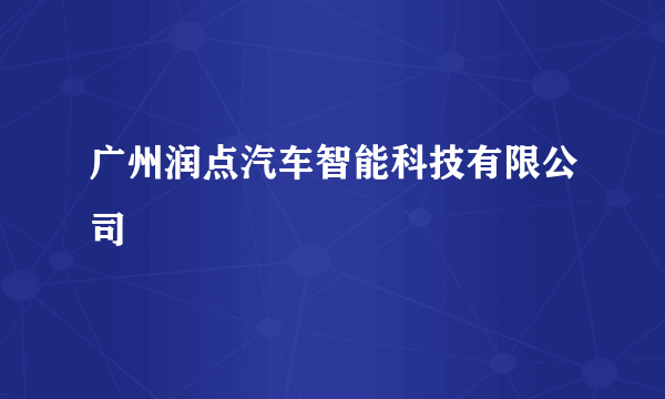 广州润点汽车智能科技有限公司