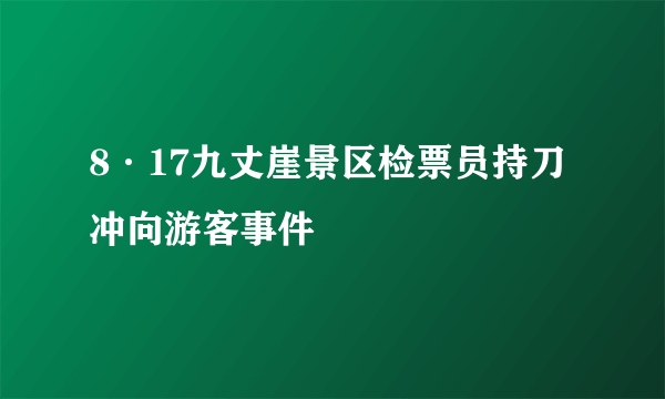 8·17九丈崖景区检票员持刀冲向游客事件