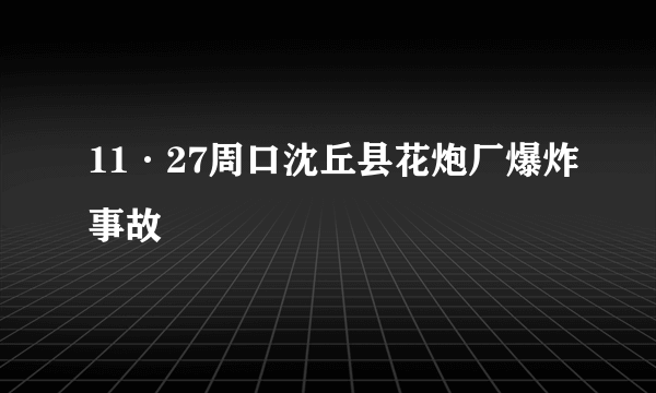 11·27周口沈丘县花炮厂爆炸事故