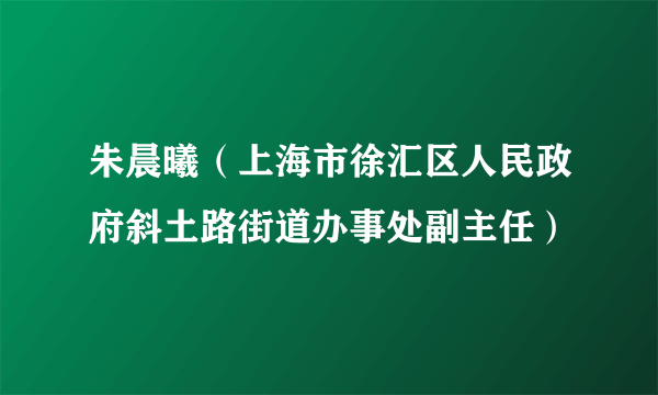 朱晨曦（上海市徐汇区人民政府斜土路街道办事处副主任）