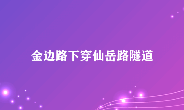 金边路下穿仙岳路隧道