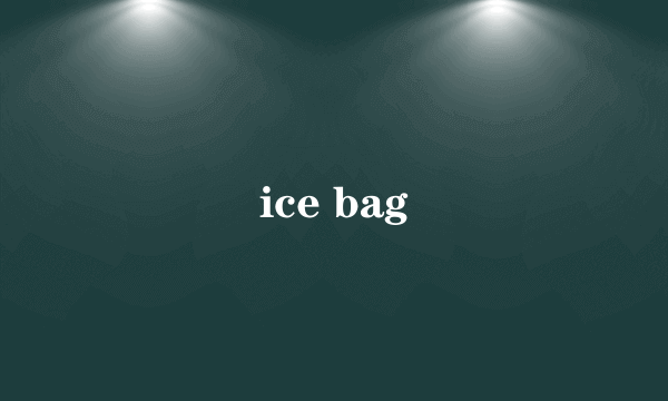 ice bag