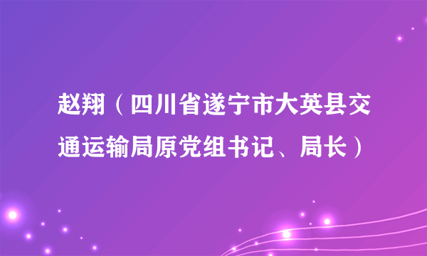 赵翔（四川省遂宁市大英县交通运输局原党组书记、局长）