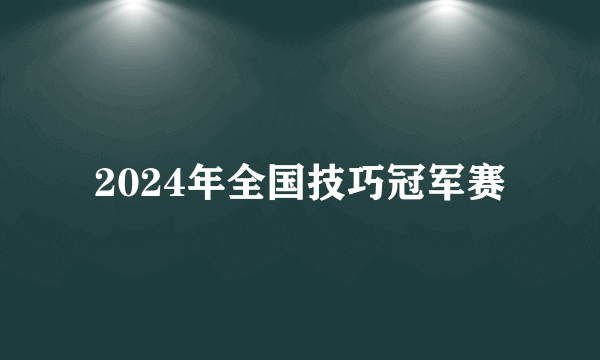 2024年全国技巧冠军赛