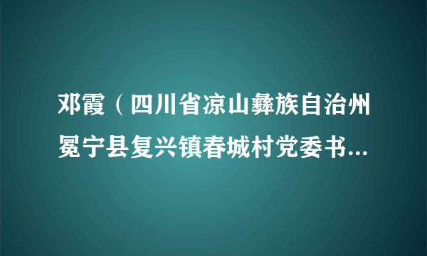 邓霞（四川省凉山彝族自治州冕宁县复兴镇春城村党委书记、村民委员会主任）