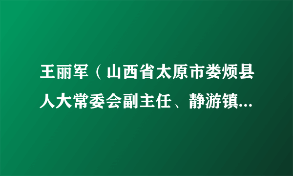 王丽军（山西省太原市娄烦县人大常委会副主任、静游镇党委书记、四级调研员）