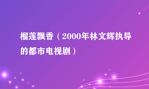 榴莲飘香（2000年林文辉执导的都市电视剧）