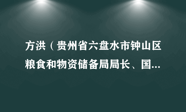 方洪（贵州省六盘水市钟山区粮食和物资储备局局长、国防动员办公室主任、发展和改革局局长、交通运输局副局长）