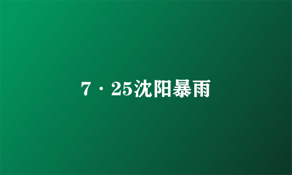 7·25沈阳暴雨