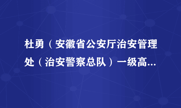 杜勇（安徽省公安厅治安管理处（治安警察总队）一级高级警长）