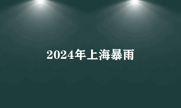 2024年上海暴雨