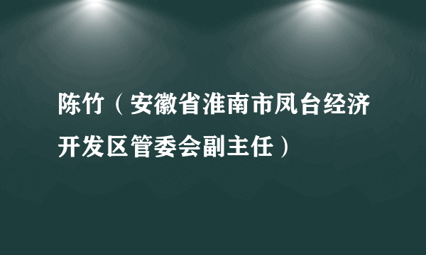 陈竹（安徽省淮南市凤台经济开发区管委会副主任）