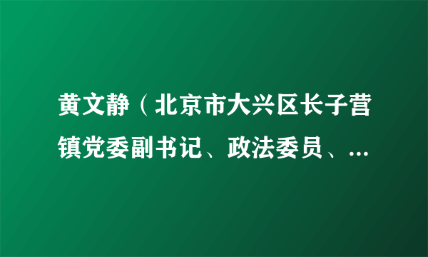 黄文静（北京市大兴区长子营镇党委副书记、政法委员、三级调研员）