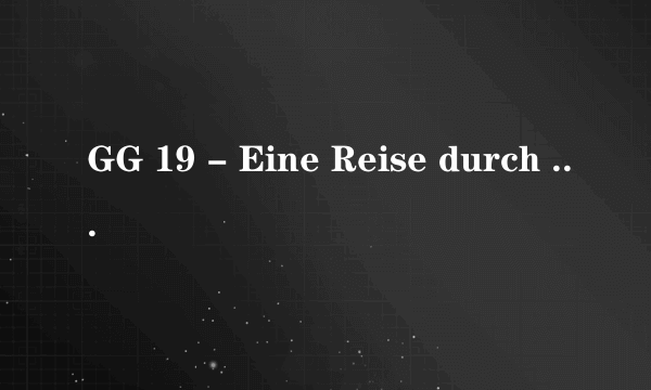 GG 19 - Eine Reise durch Deutschland in 19 Artikeln（2002年Fernando Gonzáles Sitges执导的电影）