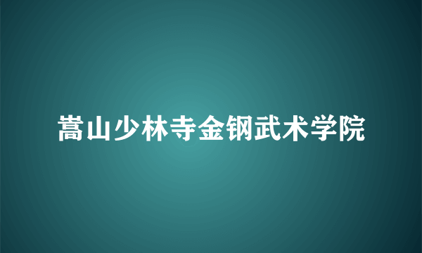 嵩山少林寺金钢武术学院