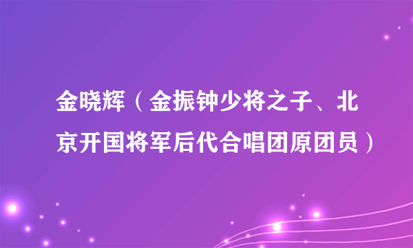 金晓辉（金振钟少将之子、北京开国将军后代合唱团原团员）