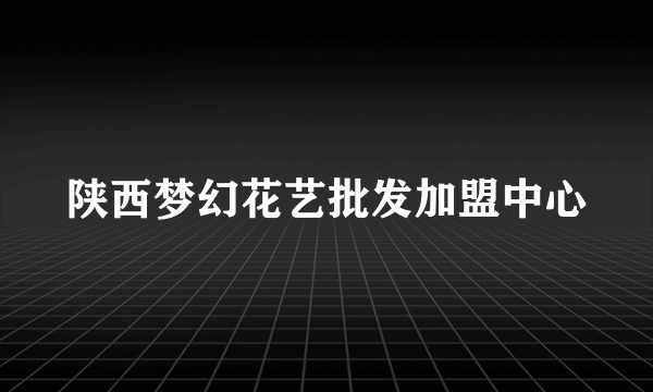 陕西梦幻花艺批发加盟中心