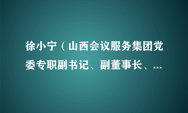 徐小宁（山西会议服务集团党委专职副书记、副董事长、总经理人选）