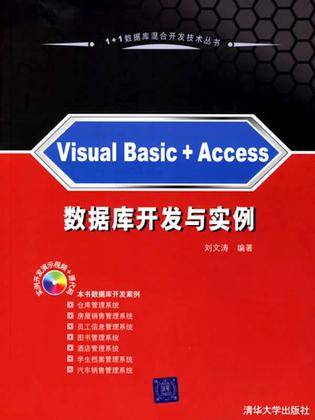 Visual Basic+Access数据库开发与实例