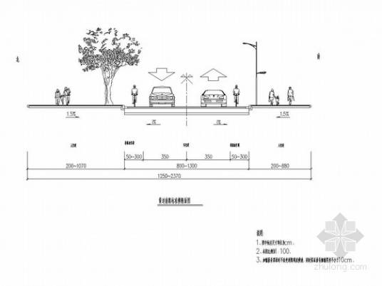 道路横断面