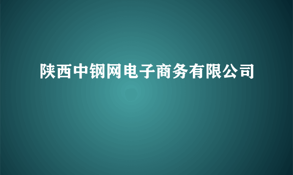 陕西中钢网电子商务有限公司