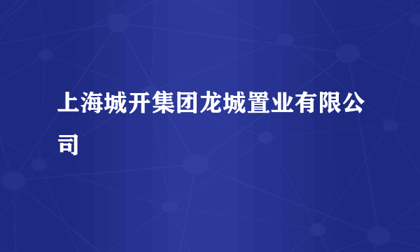 上海城开集团龙城置业有限公司