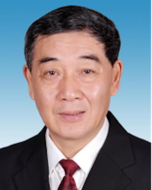 王建国（中国高等教育学会副会长）