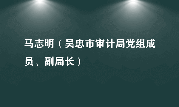 马志明（吴忠市审计局党组成员、副局长）